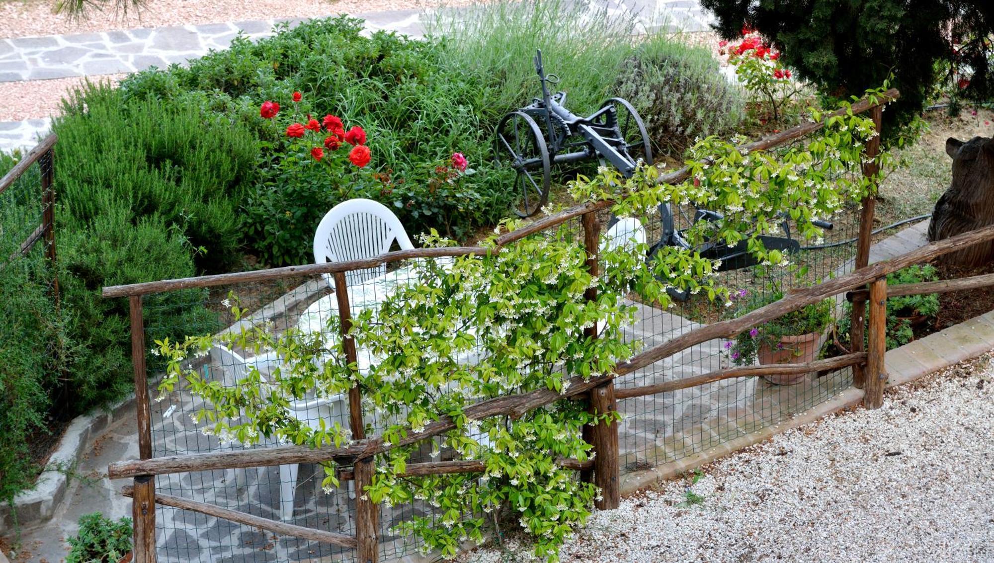 Agriturismo San Severo 파시냐노술트라시메노 객실 사진