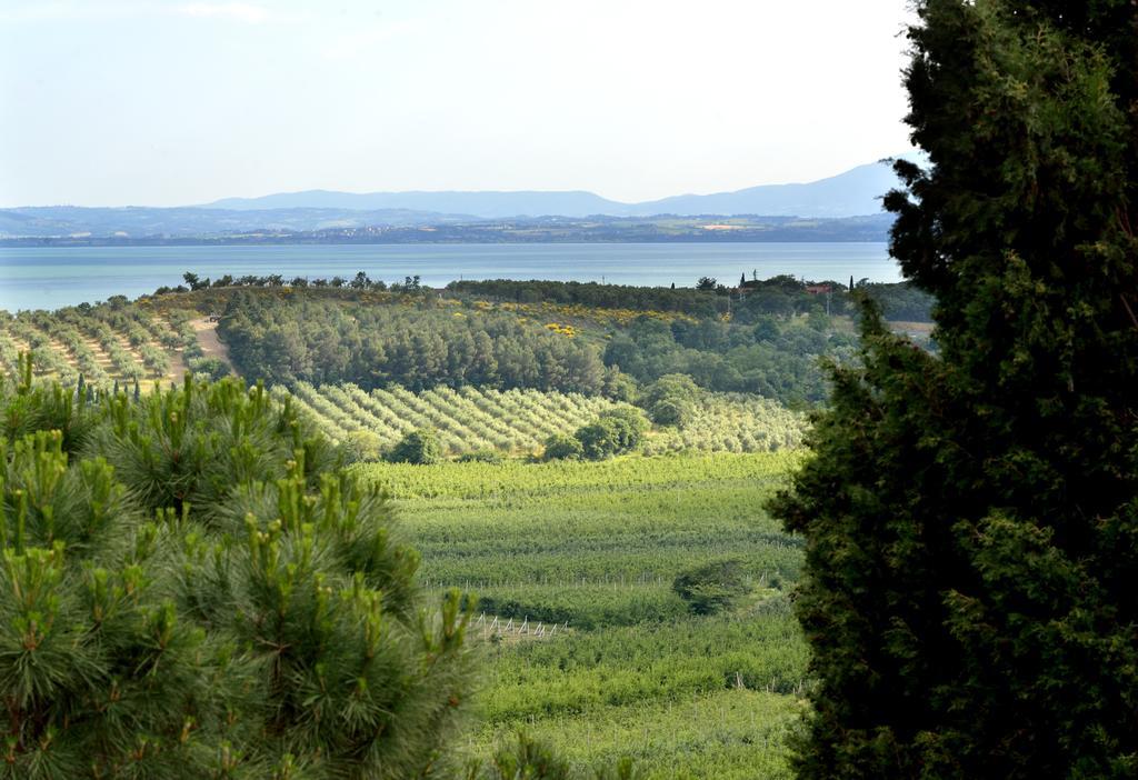 Agriturismo San Severo 파시냐노술트라시메노 외부 사진