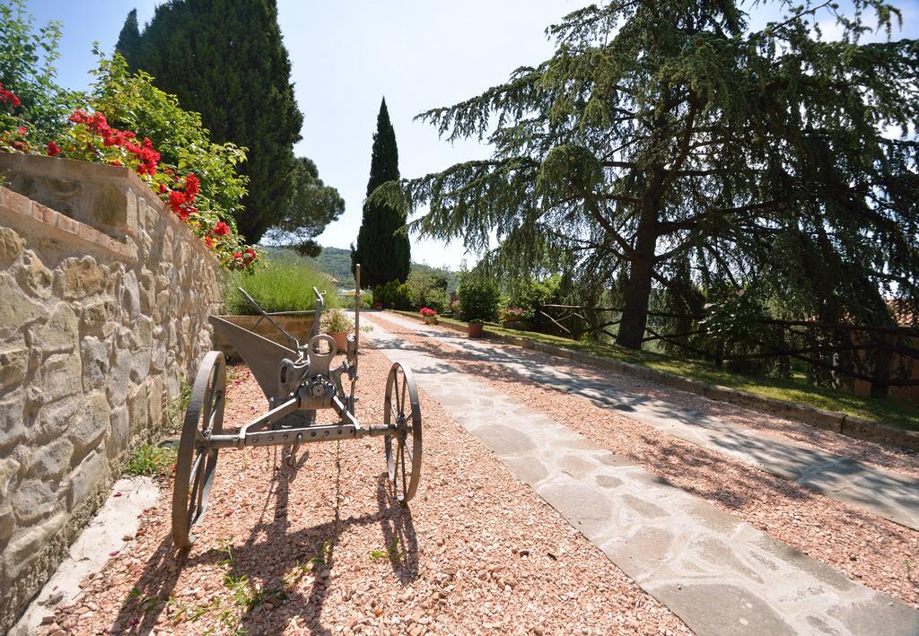 Agriturismo San Severo 파시냐노술트라시메노 외부 사진